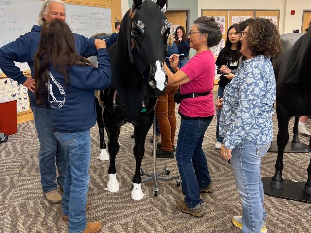 group looking at horse model