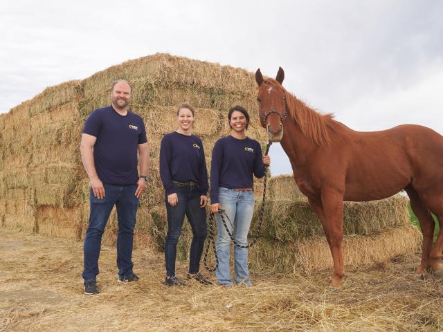 CVET team posing in front of hay bales next to a horse