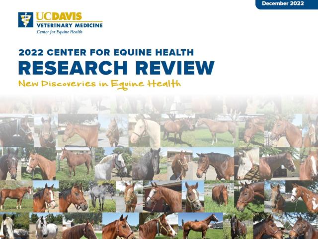 cover of 2022 Research Review