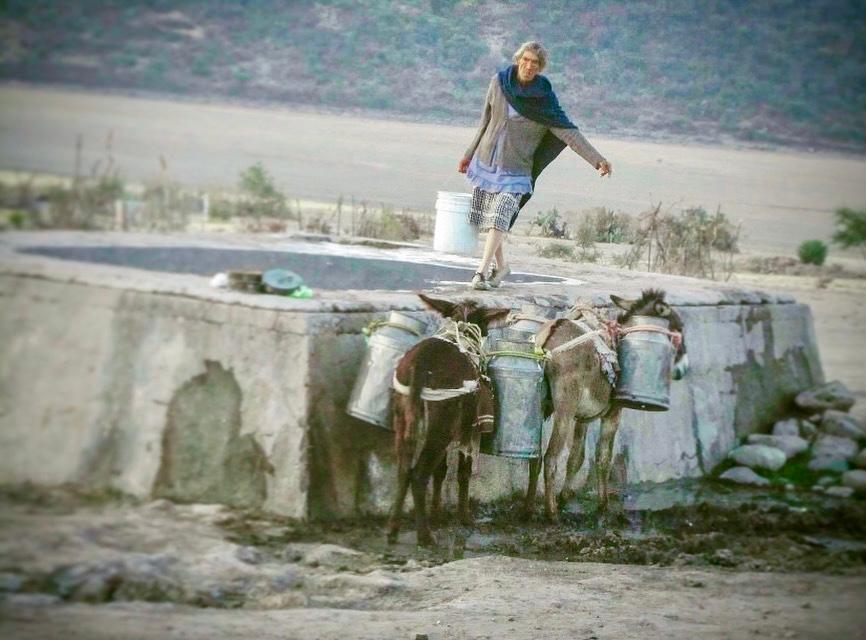 Working donkey in Mexico