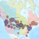 map showing spread of avian flu