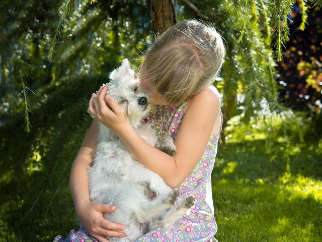 Girl kissing small white dog in her arms