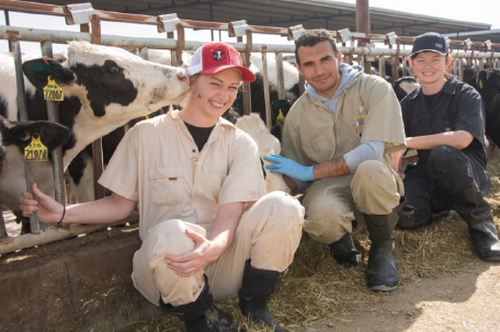 Dr. Wagdy El-Ashmawy, center between two veterinary students, received his MPVM to inform improvements in livestock health practices.