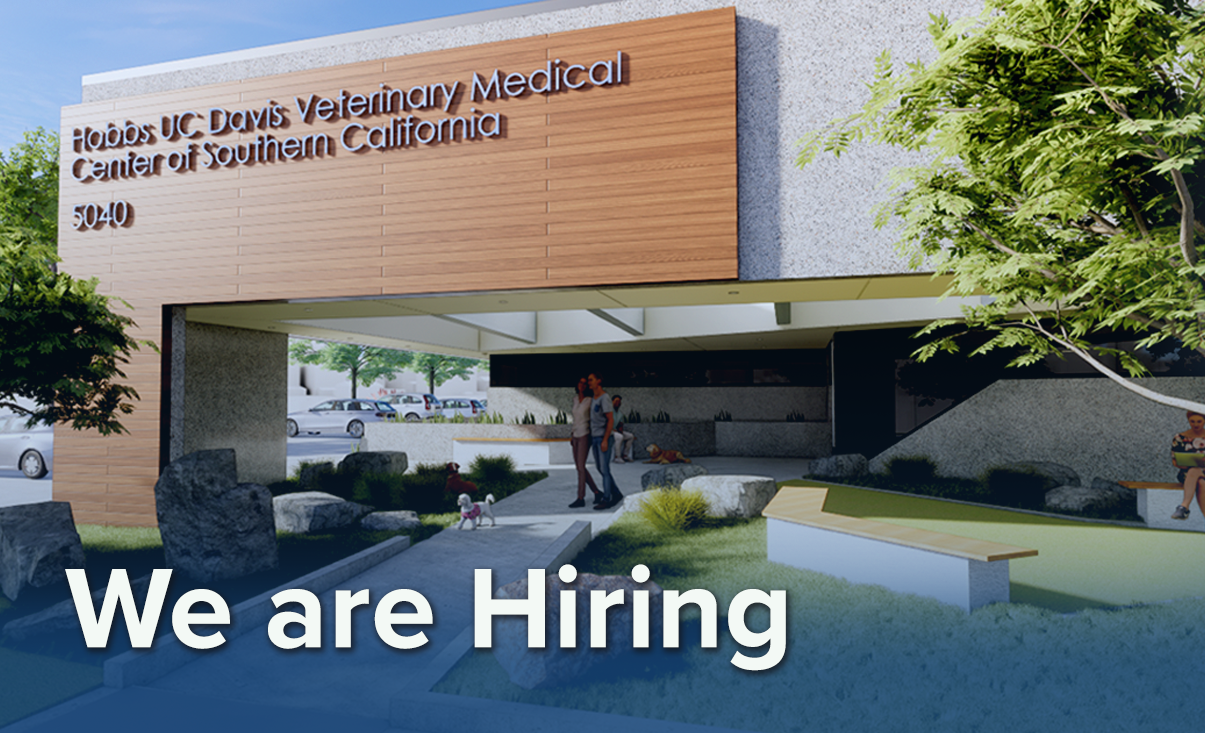 We are Hiring