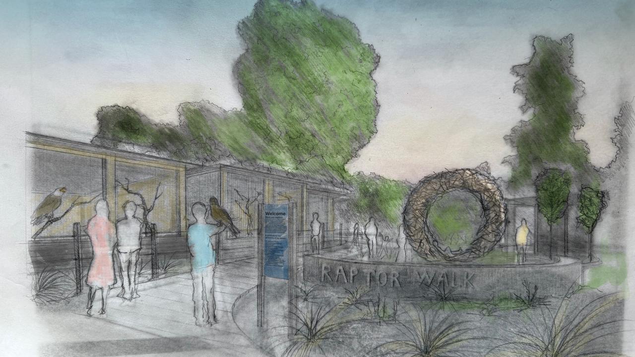 Rendering of planned raptor enclosures, located at the UC Davis Arboretum and Public Garden. Illustration of enclosures for birds.