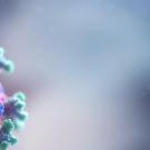 coronavirus under microscope