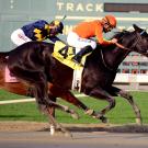 horses racing