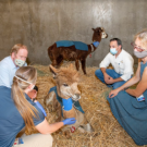 Dr. Julie Dechant, Hospital Director Dr. Jane Sykes, Large Animal Hospital Directory Dr. Bret McNabb, and I talk about a llama that was burned in the LNU Lightning Complex fire.