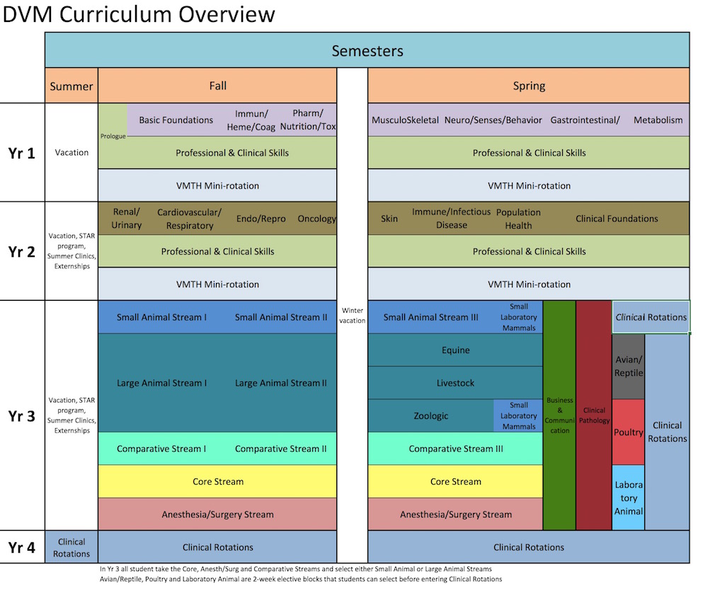 DVM Curriculum Overview