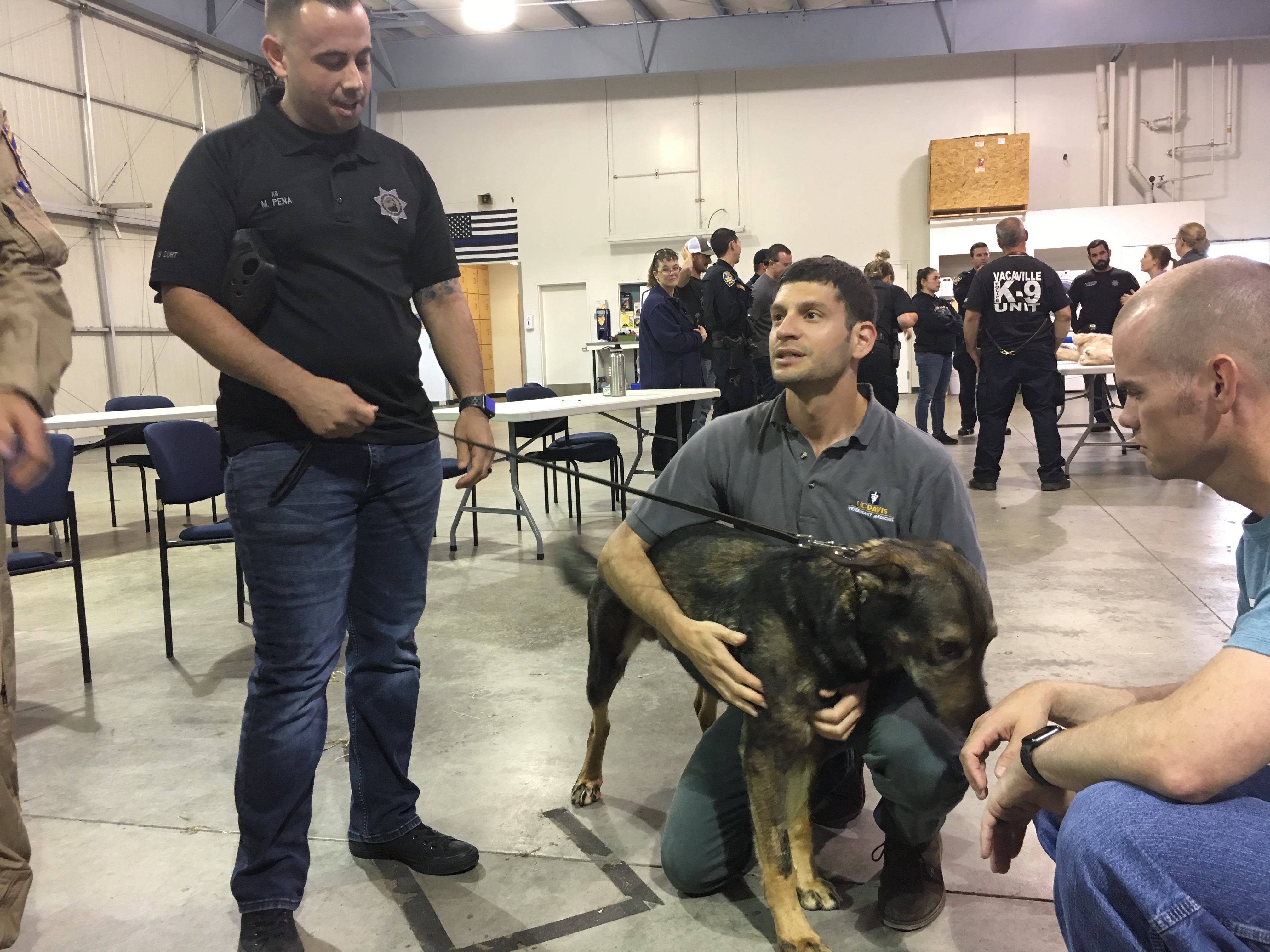 Dr. Stephen Epstein shows K9 handlers how to treat a wound on K9 Kort.