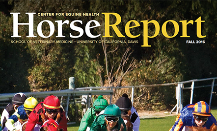 Center for Equine Health - Horse Report