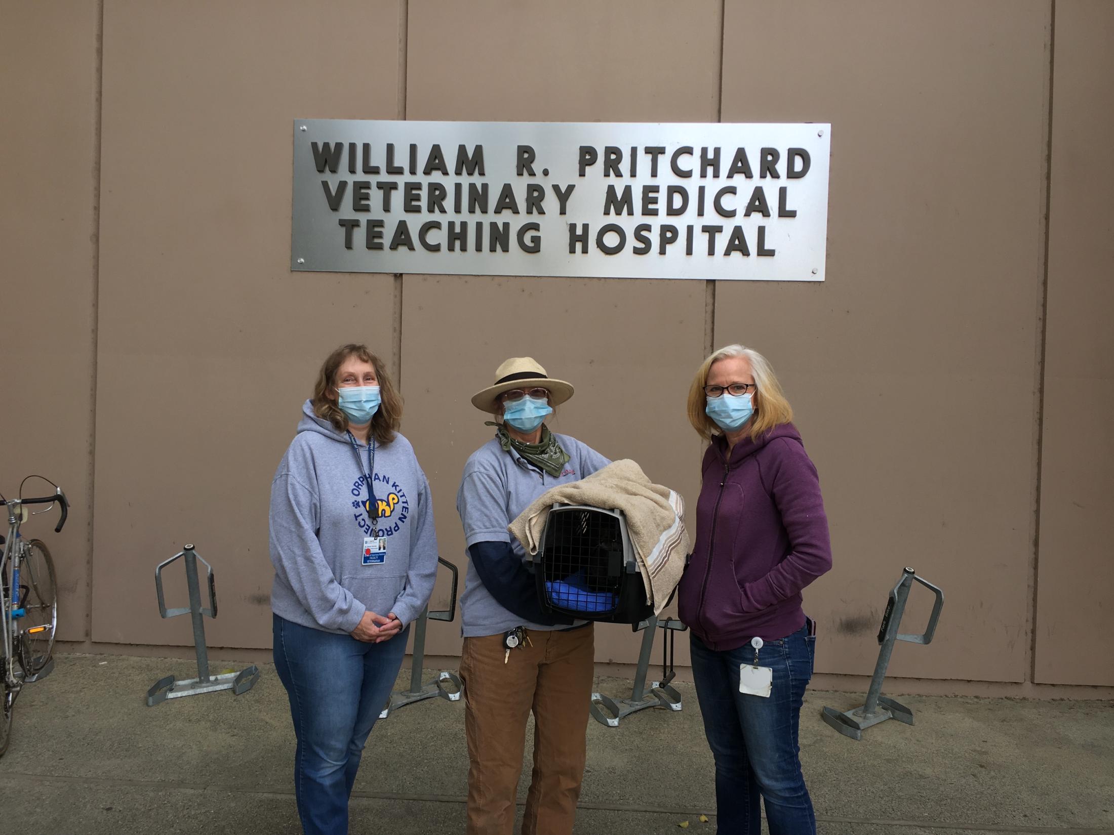 Ned being discharged from the UC Davis veterinary hospital with (left to right) Dr. Karen Vernau, Linda Kearney, and Dr. Elizabeth Montgomery.