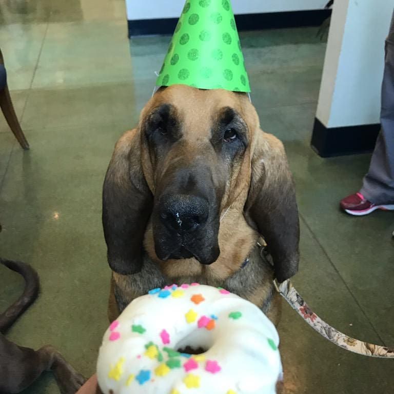 Kaiya with a cake.