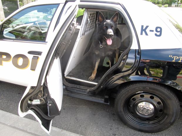 K9 Officer Peydro