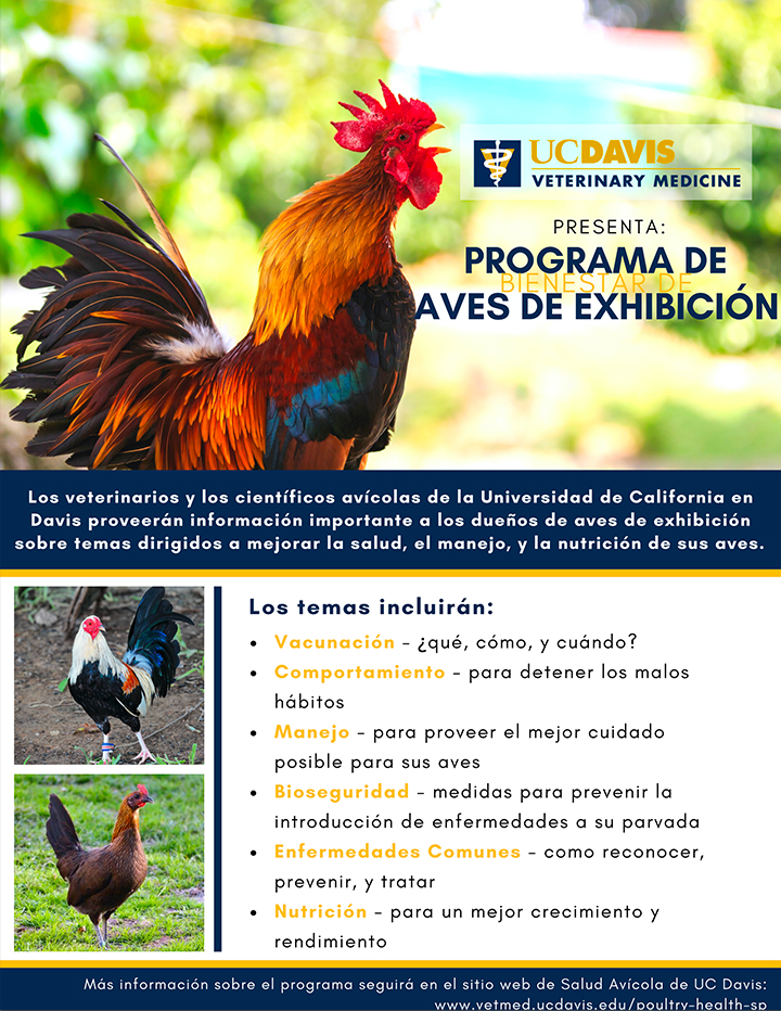  Folleto del programa UCD Gamefowl