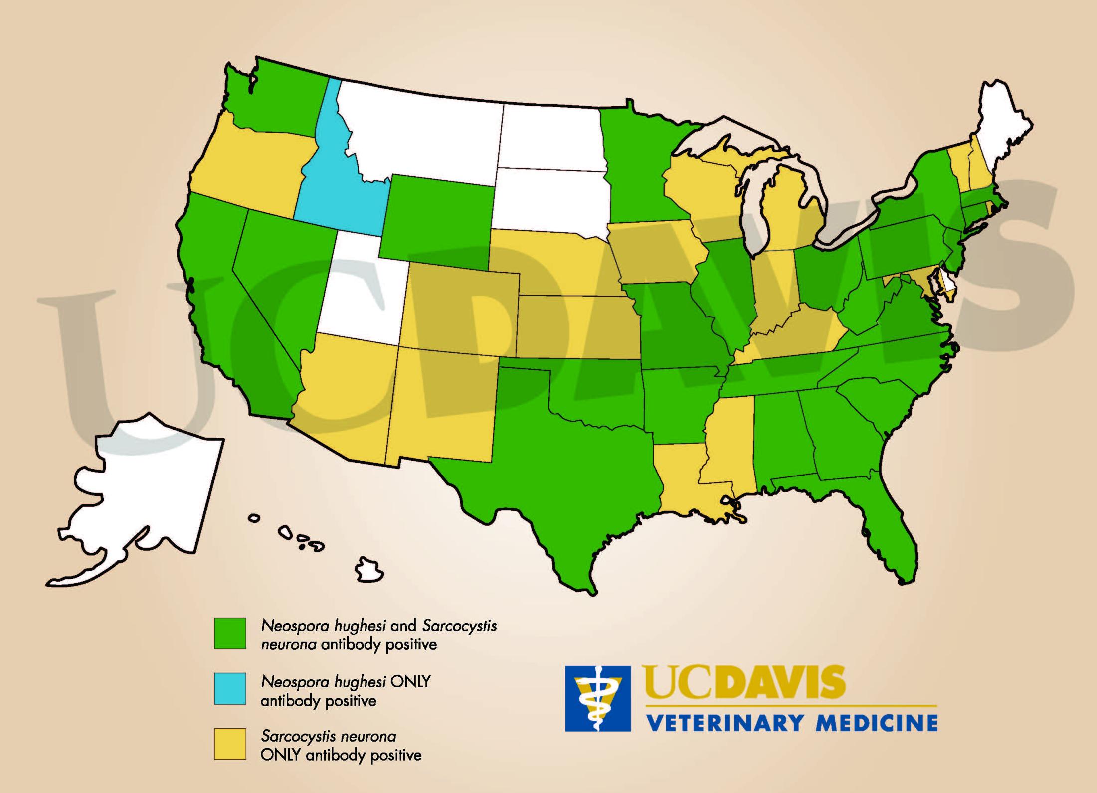 US map - seroprevalence of EPM due to N.hughesi and S.neurona