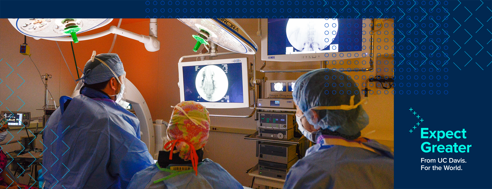 The future Veterinary Medical Center plays major role in UC Davis’ new $2 billion “Expect Greater” fundraising campaign.