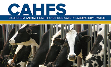 CAHFS Annual Report