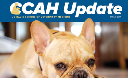 CCAH Update - Center for Companion Animal Health