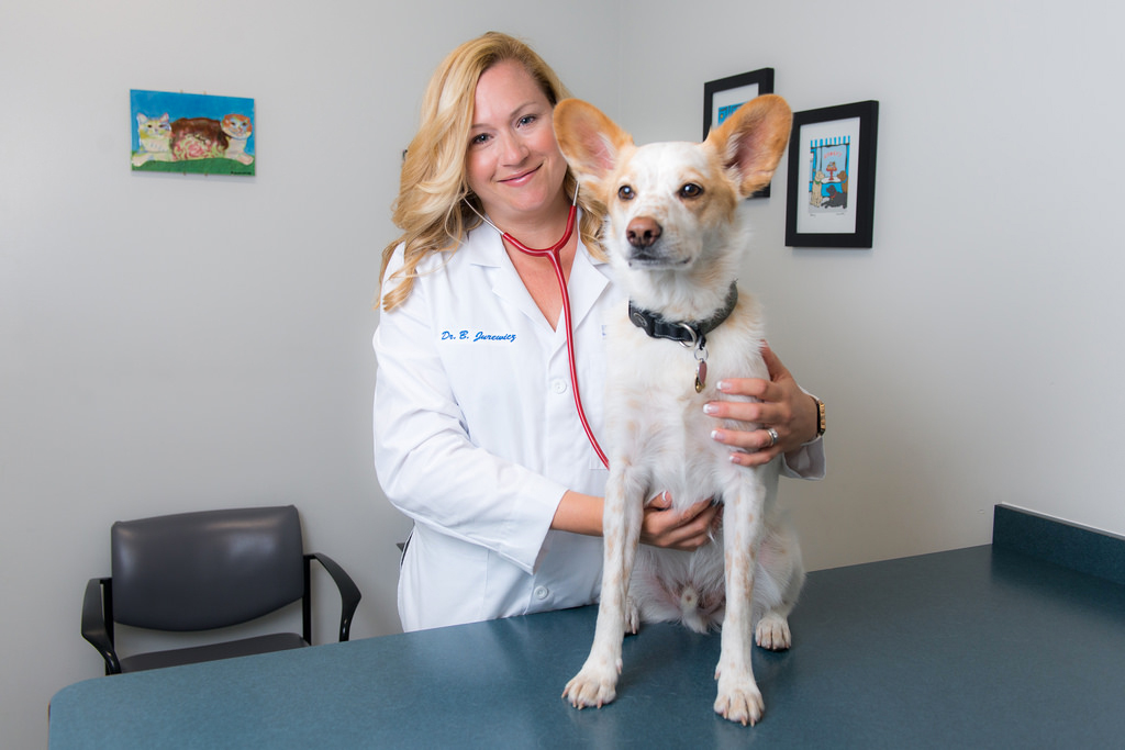 Community Medicine
