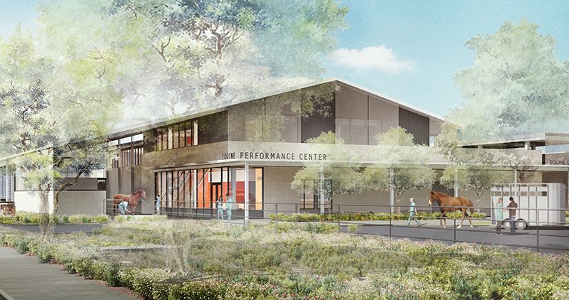 Equine Performance Center Rendering