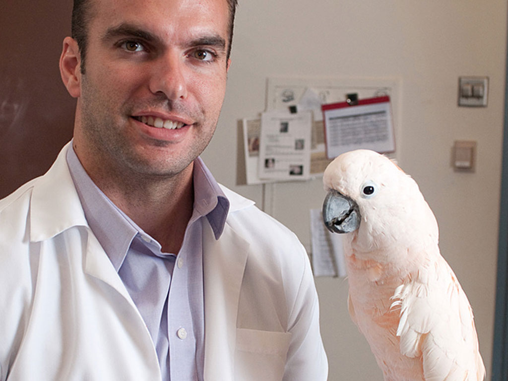 Companion Exotic Animal Medicine & Surgery