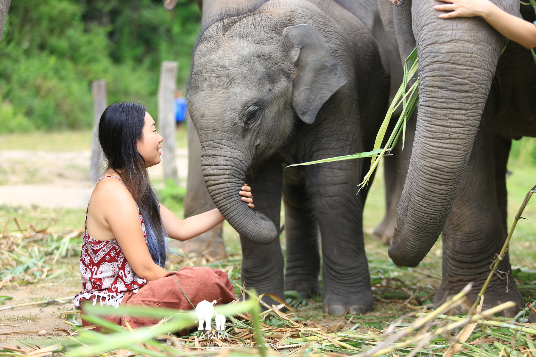 Tracy Hayward - Thailand