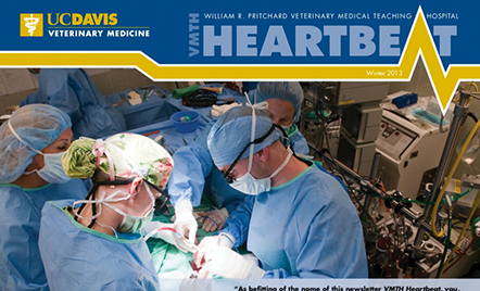 VMTH Heartbeat