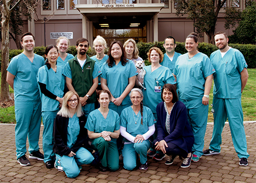Small Animal School Of Veterinary Medicine