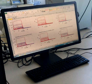 Above: This image shows Octet® RED384 analyzer sensorgram output of a small molecule binding to proteins of interest.