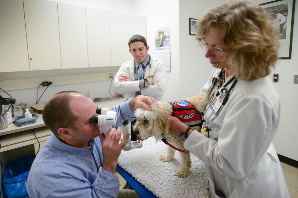 Ophthalmology Service