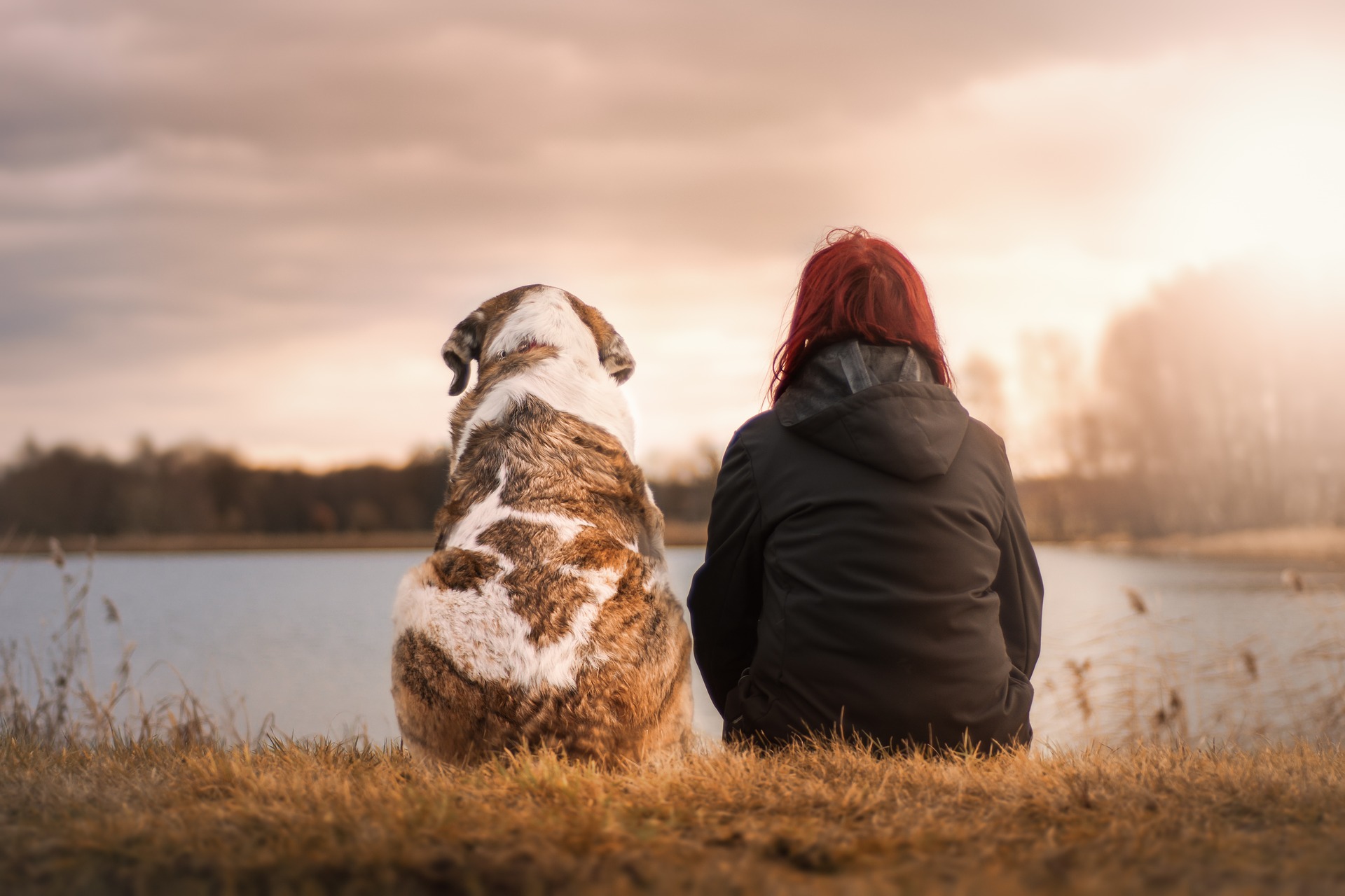 Pet Loss Support Group