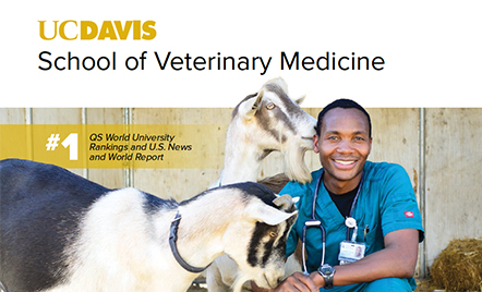 Vet Med Brochure