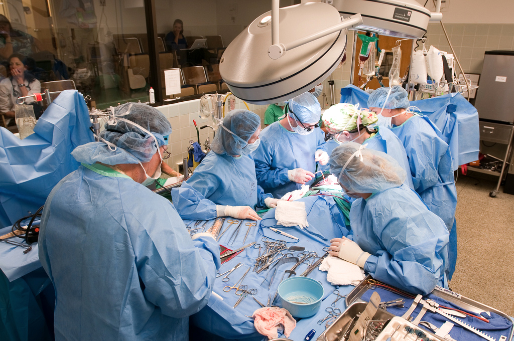 Policy on Visiting Students and Veterinarians