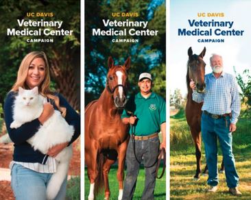 VMC Marketing Banner