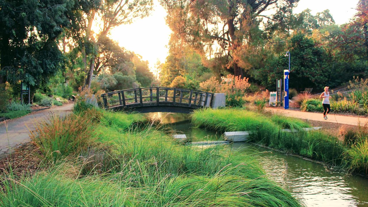 UC Davis Arboretum