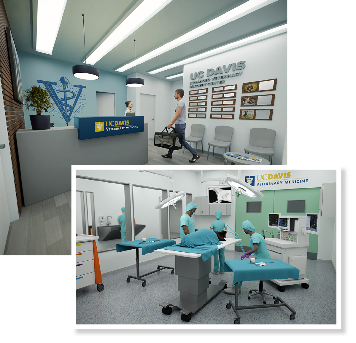 Center for Advanced Veterinary Surgery School of Veterinary Medicine