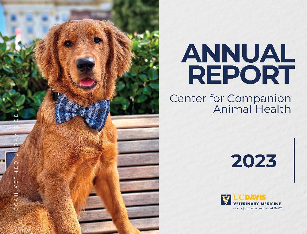CCAH Annual Report 2023