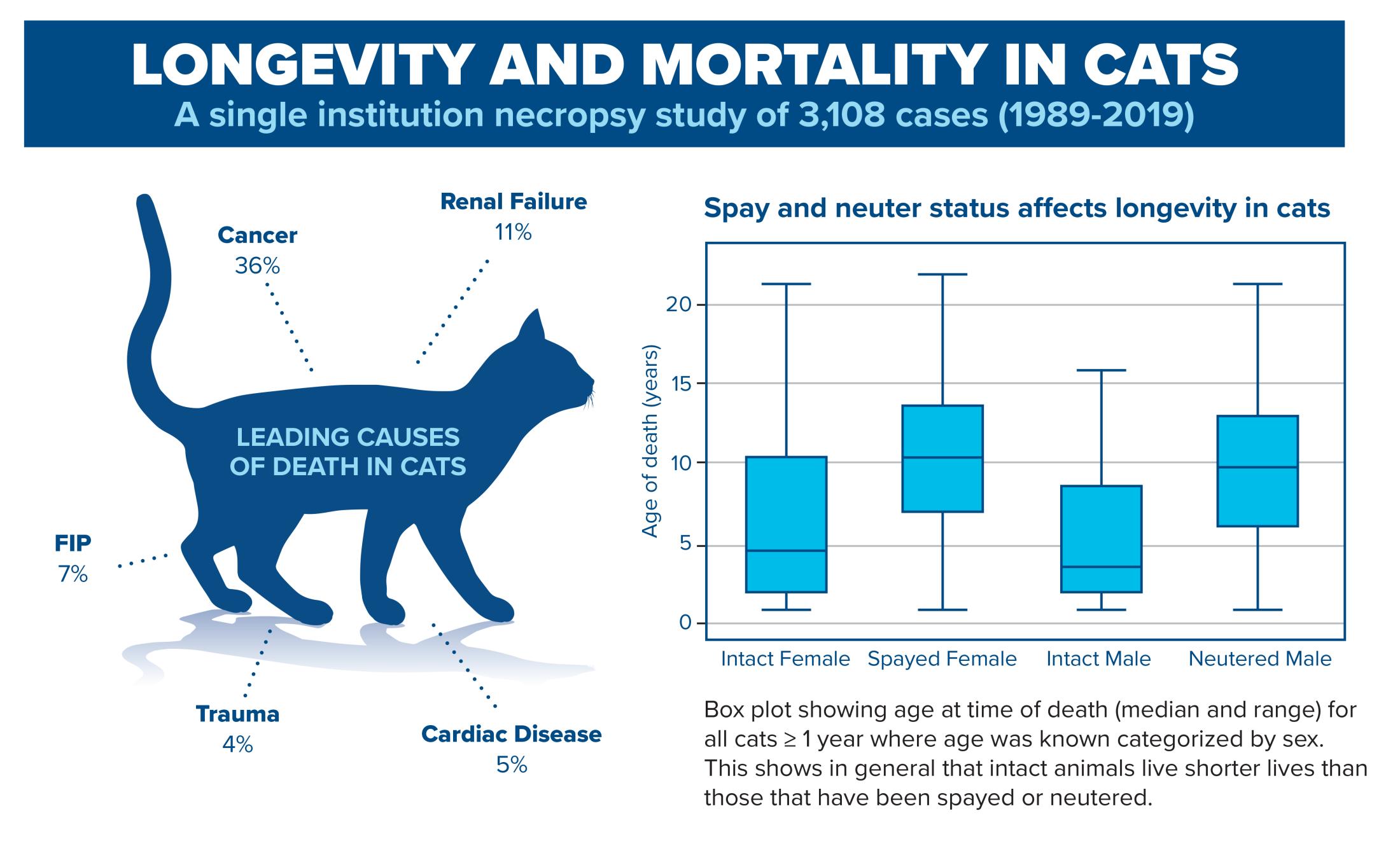 CCAH_Update_Cat_Infograph