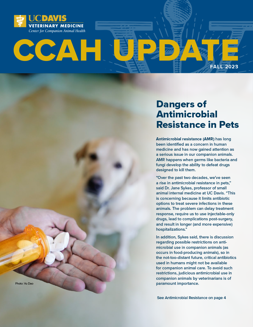 CCAH Update Newsletter Fall 23