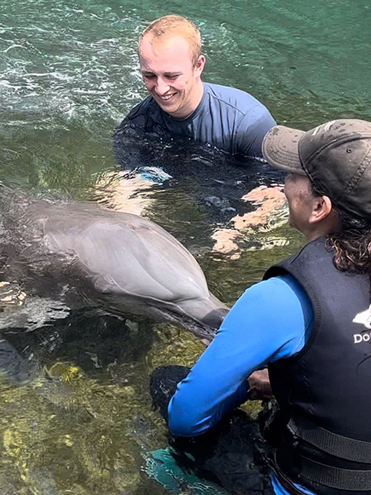 Collin and another vet examine a dolphin in the water.