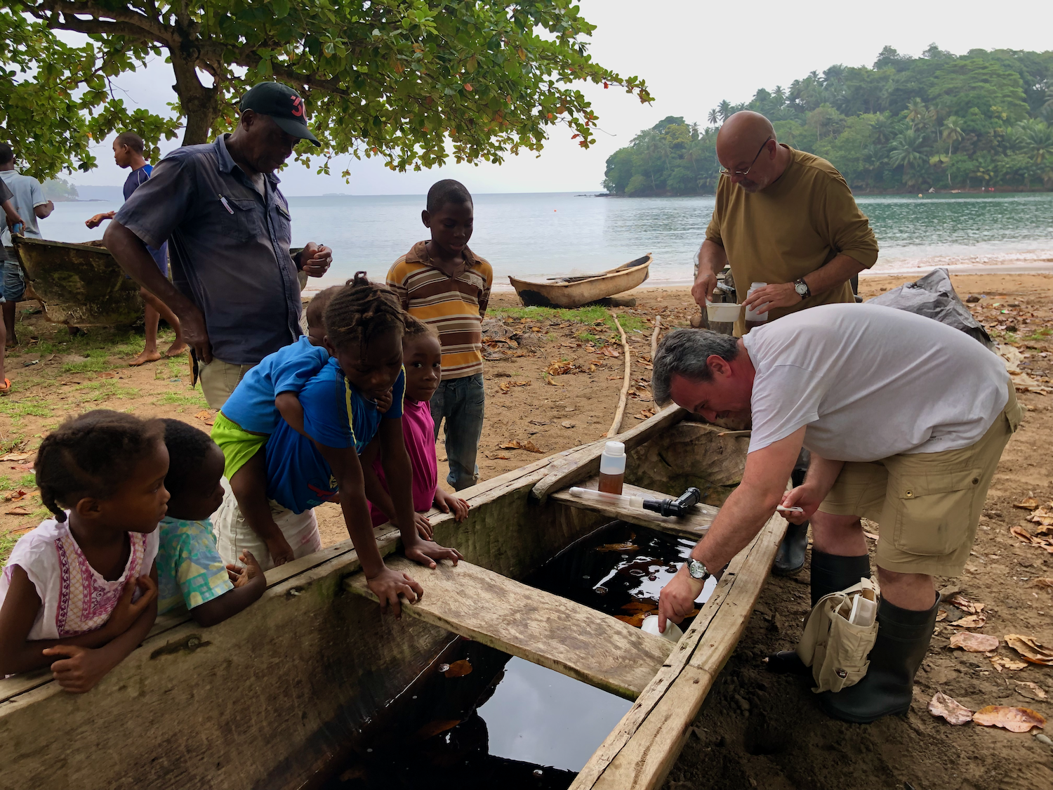 collecting mosquito larvae