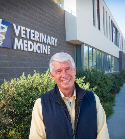 Dr. Mark Stetter