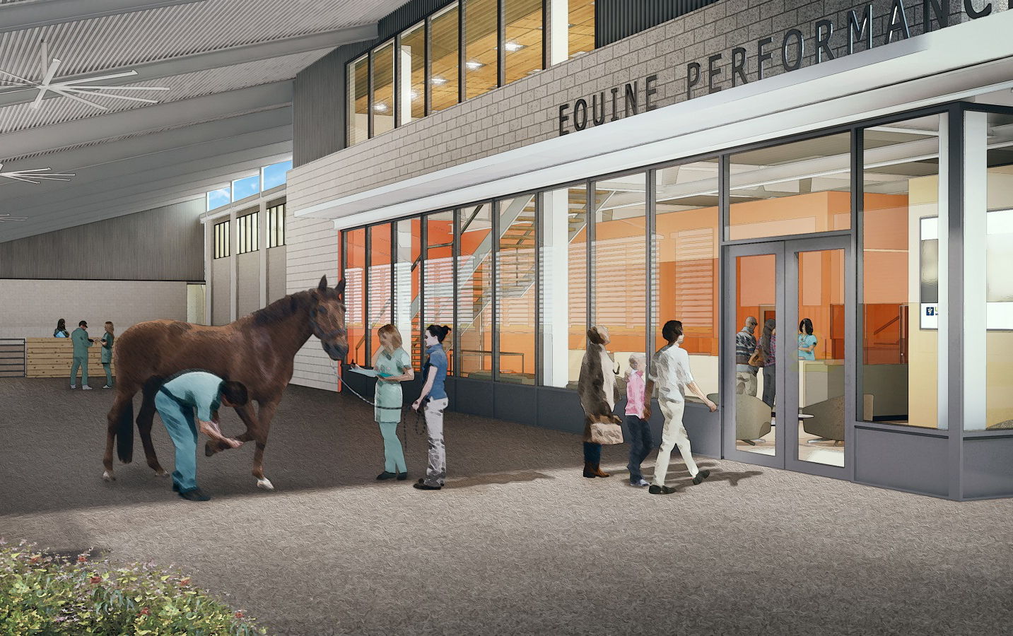 Equine Performance and Rehabilitation Center