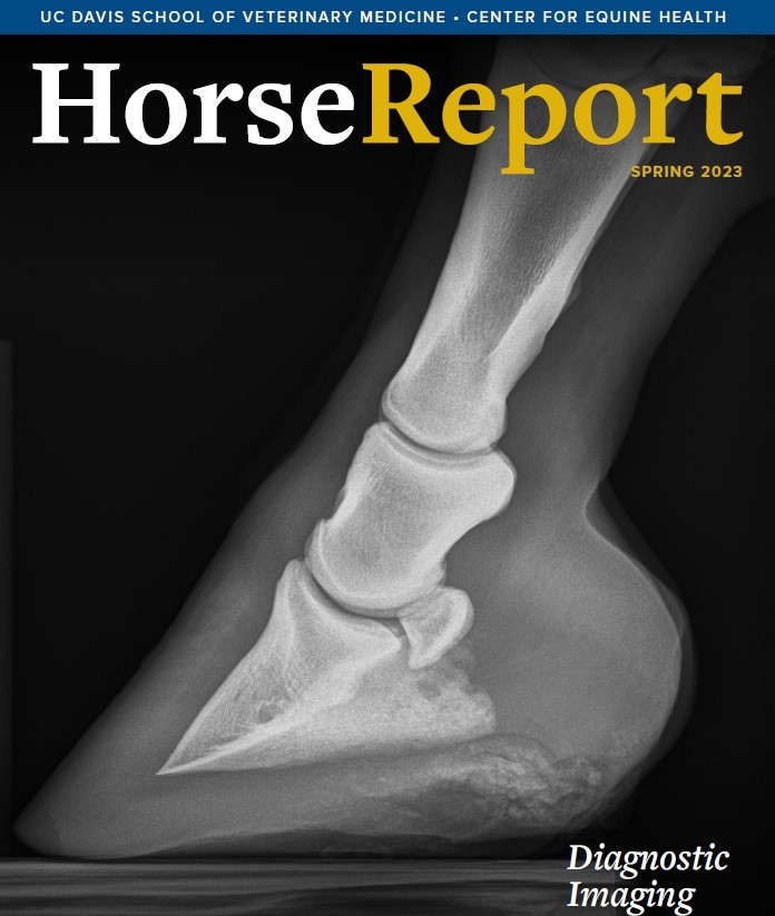 Center for Equine Health - Horse Report