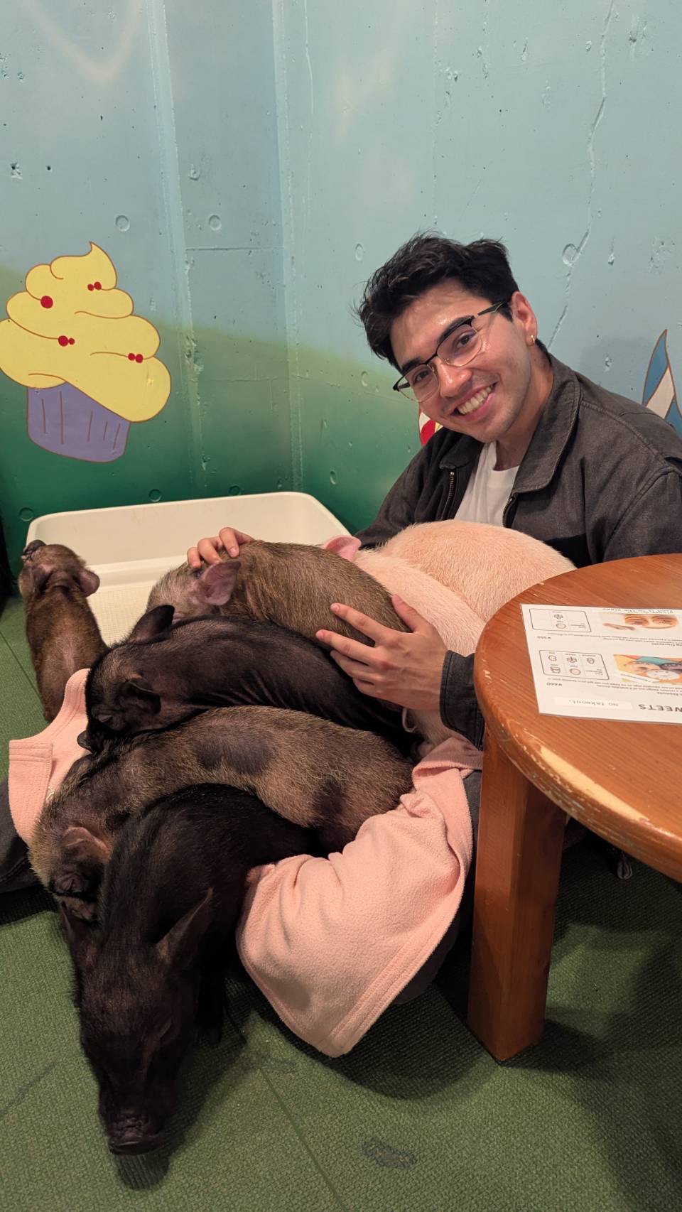 A person sitting with baby pigs.