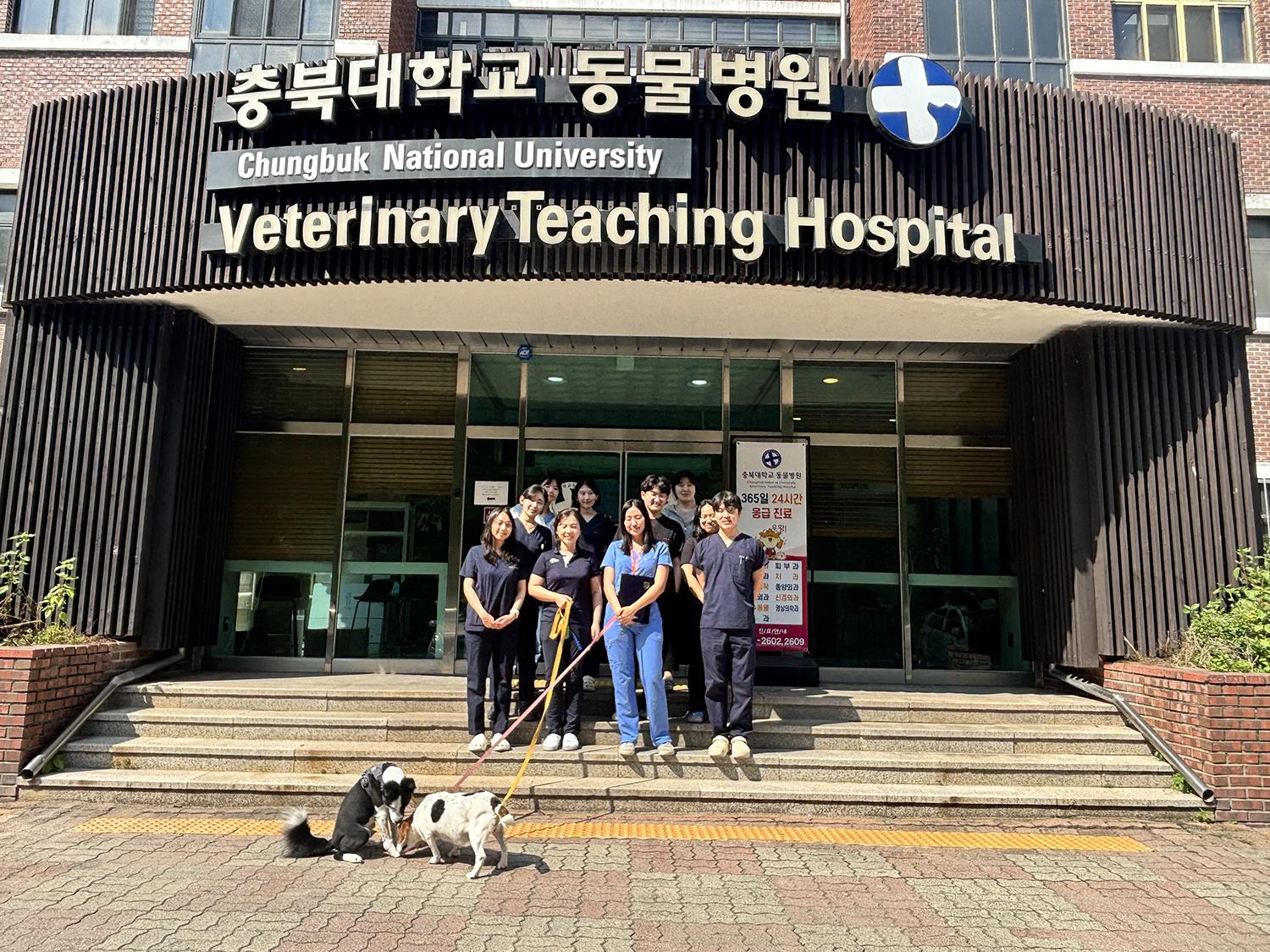 A group of people standing outside on the front steps of the "Changbuk National University Veterinary Teaching Hospital" holding dogs on leashes.