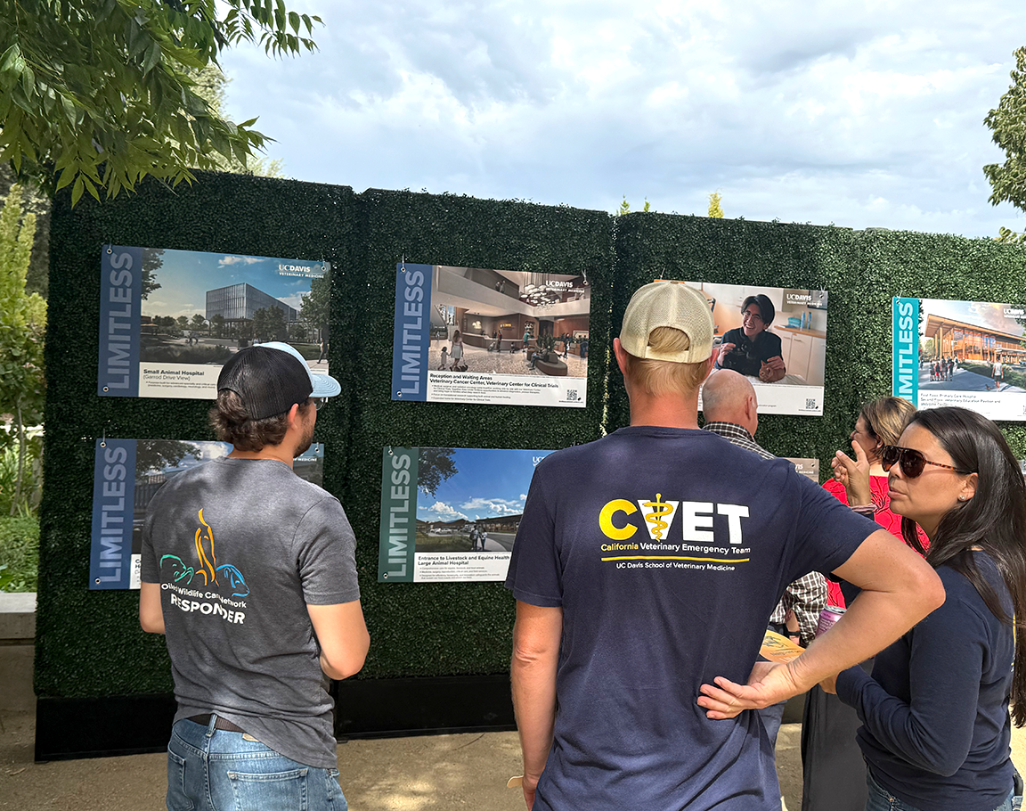 People gathered in front of a display of posters featuring building renderings of the Veterinary Medical Complex.