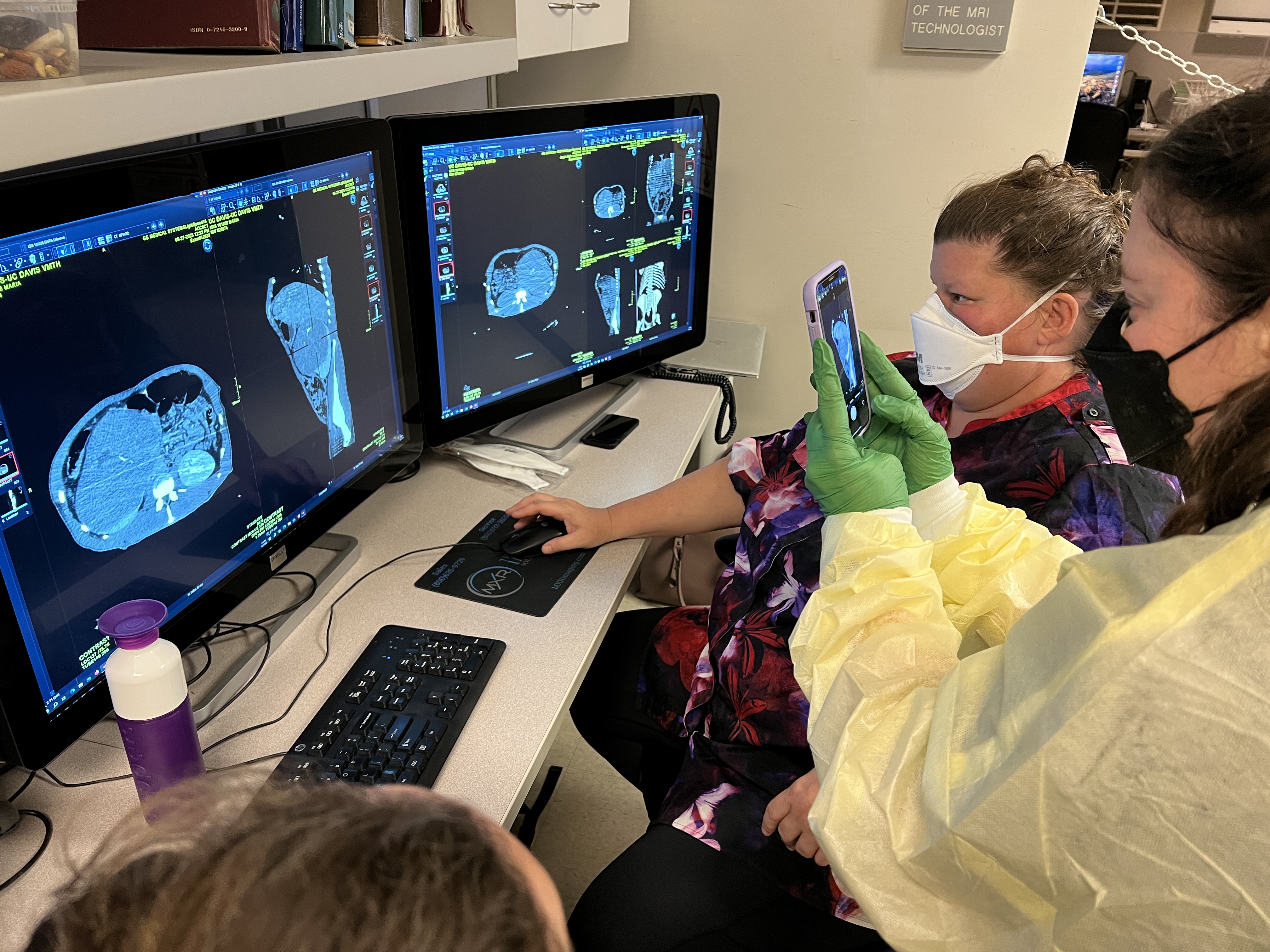veterinarians review CT images
