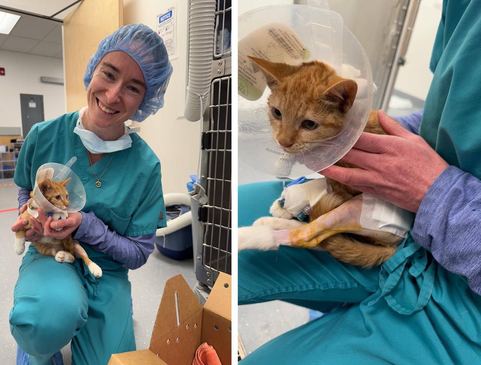 Jessica's Kitten with her doctor.